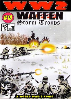 Book cover of World War 2 Waffen Storm Troops