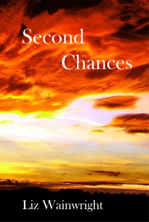 Cover of the book Second Chances by Mia Castle