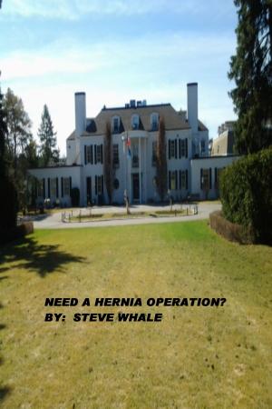 Cover of the book Need a Hernia Operation? by David Nordmark