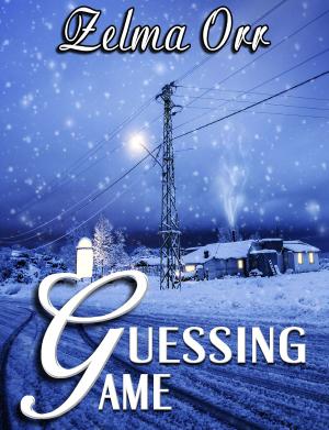 Book cover of Guessing Game