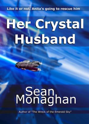Cover of the book Her Crystal Husband by Jill Pastone