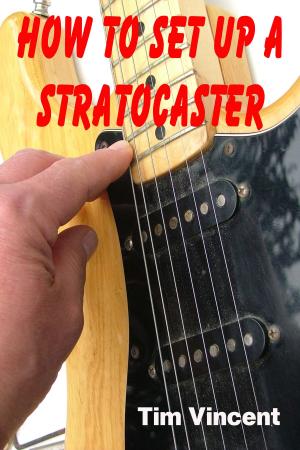 Cover of the book How to Set Up a Stratocaster by Kamel Sadi