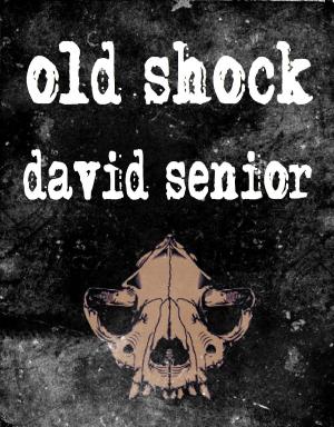bigCover of the book Old Shock by 