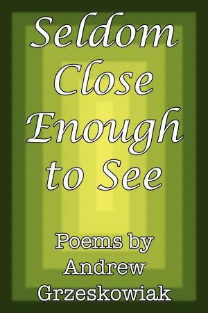 Cover of the book Seldom Close Enough to See by James Ru