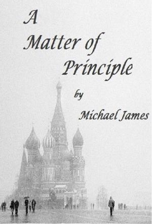 Cover of the book A Matter of Principle by Michael James