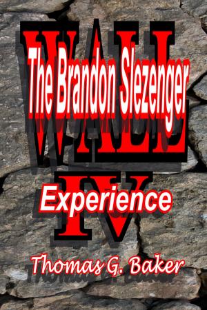 Book cover of Wall IV The Brandon Slazenger Experience