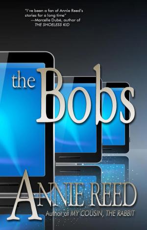 bigCover of the book The Bobs by 