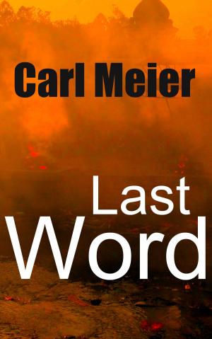 Cover of the book Last Word by Alicia Rades