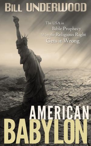 Book cover of American Babylon: 2015 Edition