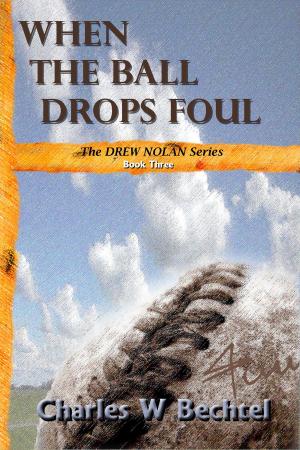 Book cover of When The Ball Drops Foul