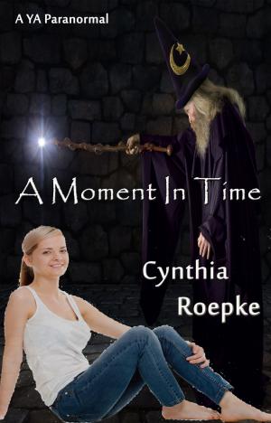 Book cover of A Moment In Time