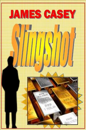 Cover of the book Slingshot by Ernest Velon