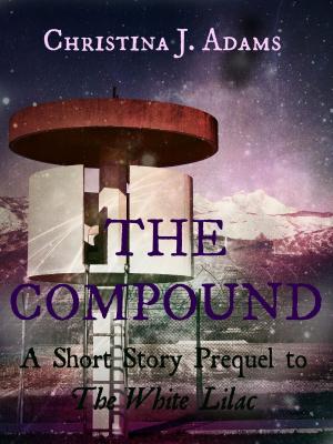 Book cover of The Compound