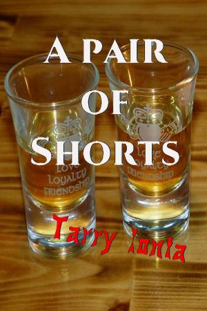 Book cover of A Pair of Shorts