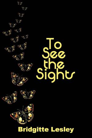 Cover of To See the Sights