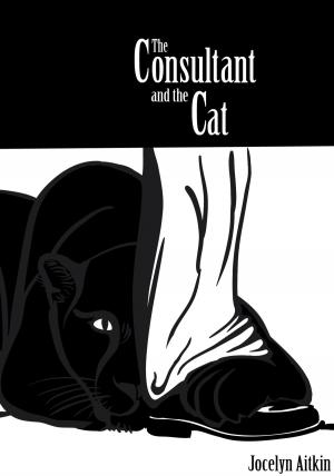 bigCover of the book The Consultant and the Cat by 
