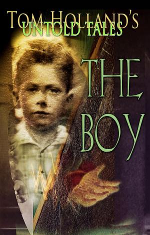 Book cover of The Boy