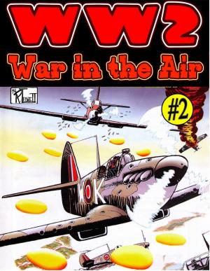 Book cover of World War 2 War in the Air