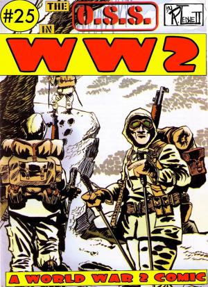 Book cover of World War 2 The OSS Volume 1