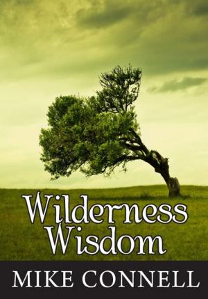 Cover of the book Wilderness Wisdom (4 sermons) by Mike Connell