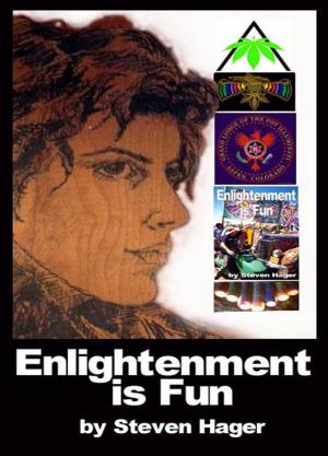 Cover of the book Enlightenment is Fun by Steven Hager
