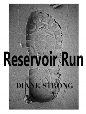 Cover of the book Reservoir Run by V.K. Scott