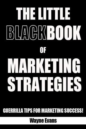 Book cover of The Little Black Book of Marketing Strategies