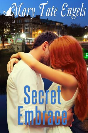 Book cover of Secret Embrace