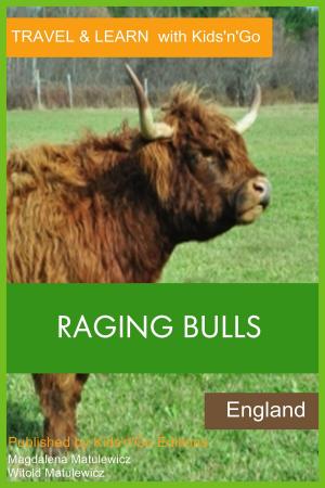 Cover of the book Raging Bulls: England by Joan Maloof