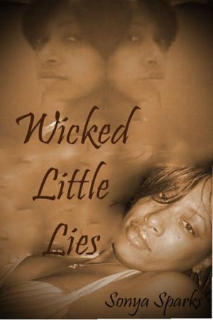 Cover of the book Wicked Little Lies by Jane Godman