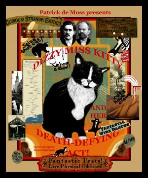 Book cover of Dizzy Miss Kitty and Her Death-Defying Act!