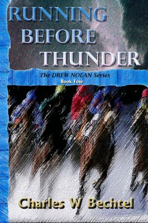 bigCover of the book Running Before Thunder by 