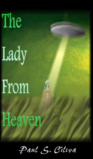 Cover of the book The Lady From Heaven by Stefano Turolo