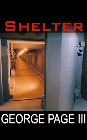 Cover of the book Shelter by Brent Meranda