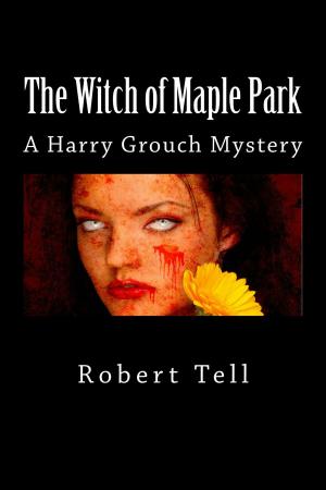 Cover of the book The Witch of Maple Park (A Harry Grouch Mystery) by Benjamin Brood