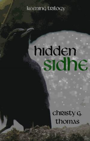 Book cover of Hidden Sidhe