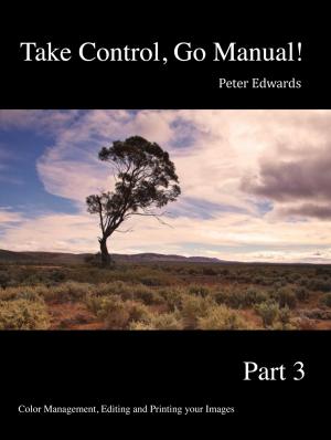 Book cover of Take Control, Go Manual Part 3