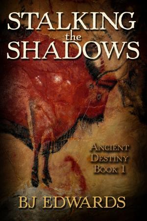 bigCover of the book Stalking The Shadows: Ancient Destiny Book 1 by 