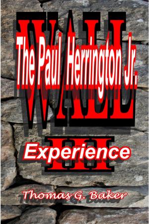 Book cover of Wall III The Paul Herrington Experience