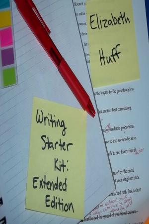 Cover of the book Writing Starter Kit: Extended Edition by Danny O. Snow