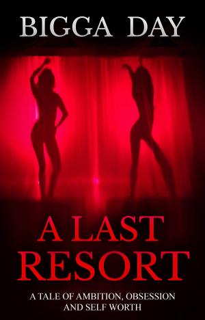Cover of the book A Last Resort by Cristian Butnariu