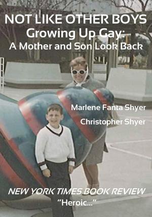 Cover of Not Like Other Boys, Growing Up Gay by Marlene Fanta Shyer and Christopher Shyer