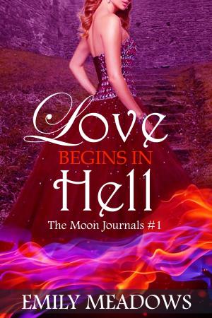 Cover of the book Love Begins in Hell (The Moon Journals: Part 1) by Yvonne Lindsay
