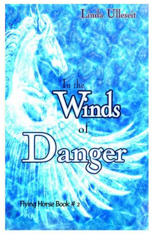 Cover of the book In the Winds of Danger by ZR Southcombe