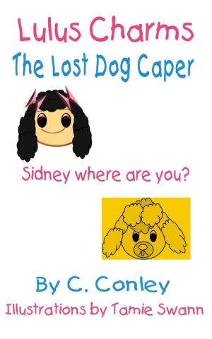 bigCover of the book Lulu's Charms and the Lost Dog Caper by 
