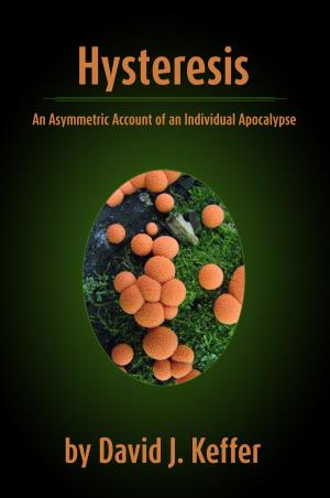 Cover of the book Hysteresis: An Asymmetric Account of an Individual Apocalypse by David Keffer, Henry Gorton