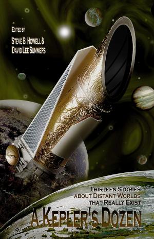 Book cover of A Kepler's Dozen: Thirteen Stories About Distant Worlds That Really Exist