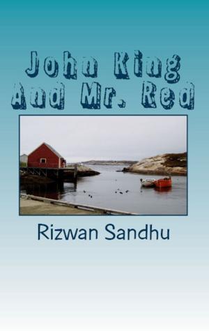 Cover of the book John King And Mr. Red by Rizwan Sandhu