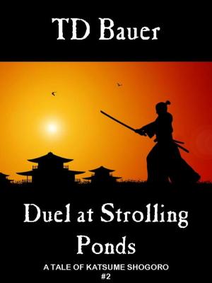 Cover of the book Duel at Strolling Ponds by Barbara Krasnoff