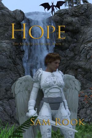 Cover of the book Hope by Lisa Kime